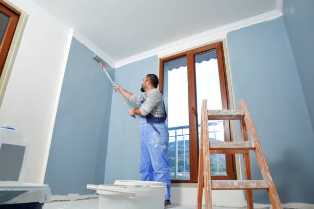 Best Dehumidification Services  in Crosby, MN