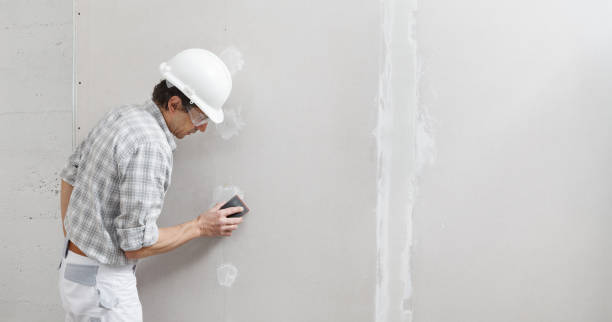 Best Airborne Mold Testing  in Crosby, MN