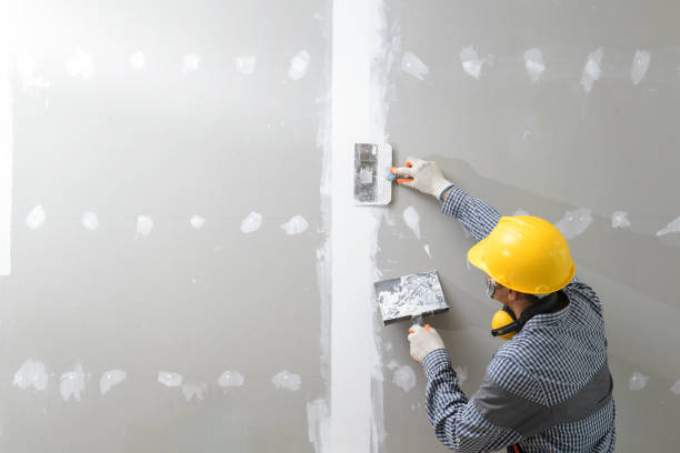 Best HVAC Mold Inspection and Cleaning  in Crosby, MN