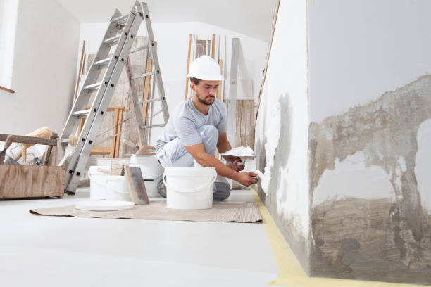 Best Crawl Space Mold Remediation  in Crosby, MN