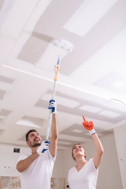 Best Environmental Consulting for Mold Prevention  in Crosby, MN