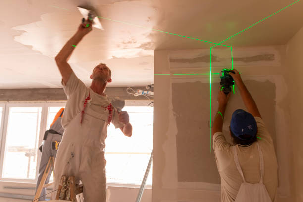 Best Mold Remediation for Healthcare Facilities  in Crosby, MN