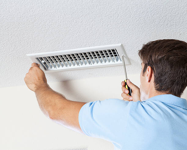 Best Black Mold Removal  in Crosby, MN