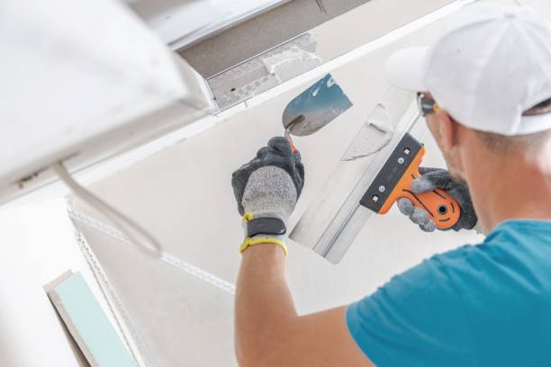Best Attic Mold Removal  in Crosby, MN